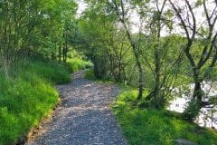 Bantons Lake lush pathways