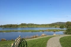 Borwick Fishing View Across The Lakes
