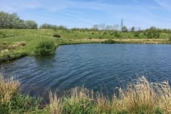 Corner on Jimmy's Lake