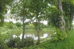 Bradshaw Hall Fishing, Bolton, Lancashire
