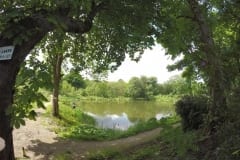 Lake 6 Bradshaw Hall Fishery