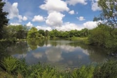 Specimen Lake Bradshaw Hall Fisheries