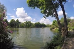 Bradshaw Hall Fisheries