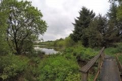 Walkway at Smithhills Moor Fishery