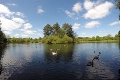 Cuerden Valley Lake looking towards the Island