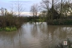 Small but beautiful on a quiet evening - Fairhaven Fishery