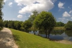 Tree featured banking Fox's Lake