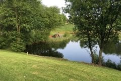 Lush banking @ Foxs Lake