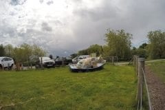 Greenhalgh Lodge Fishery Cow