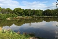 Pond 2 Heskin Old Hall Farm Fisheries