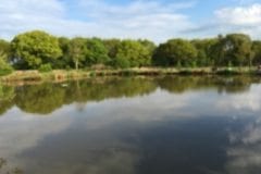 Pond 2 Heskin Old Hall Farm Fisheries Chorley