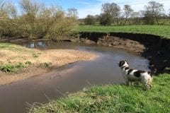 Barney River Lostock Leyland