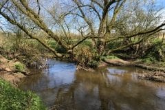 Leyland River Lostock