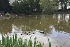 Turbary House garden centre fishing