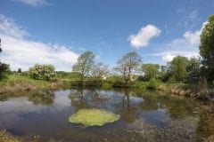 Lilly Pond Fishing in Lancashire