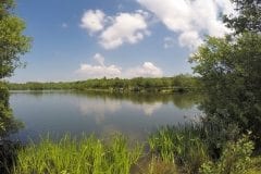 Looking back to road access pages @ Sunnyside 2