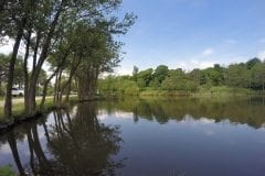 Treelined River Lake