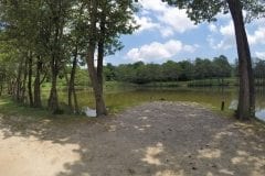 Geese at Wyreside River Lake
