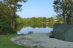 Wyreside Sunnyside 1