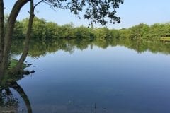 Wyreside Lakes Sunnyside 1