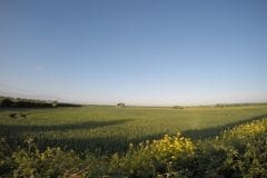 Leeds Liverpool Canal Surrounded by lovely fields.