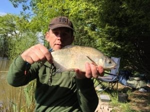 Heskin Bream