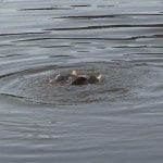 Low Lodge Mill Whittle le Woods Chorley