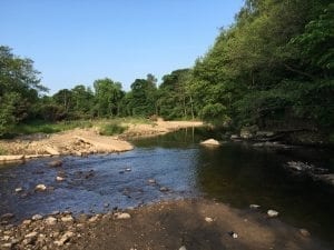River Wyre - Wyreside