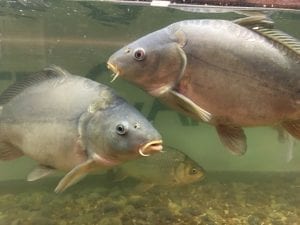 Fishing in Lancashire