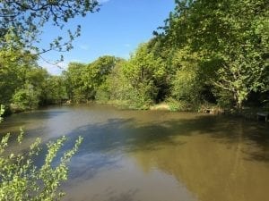 The Beautiful Pond 1 - Heskin Old Hall Fishery