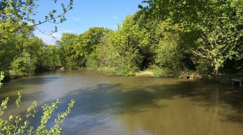 The Beautiful Pond 1 - Heskin Old Hall Fishery
